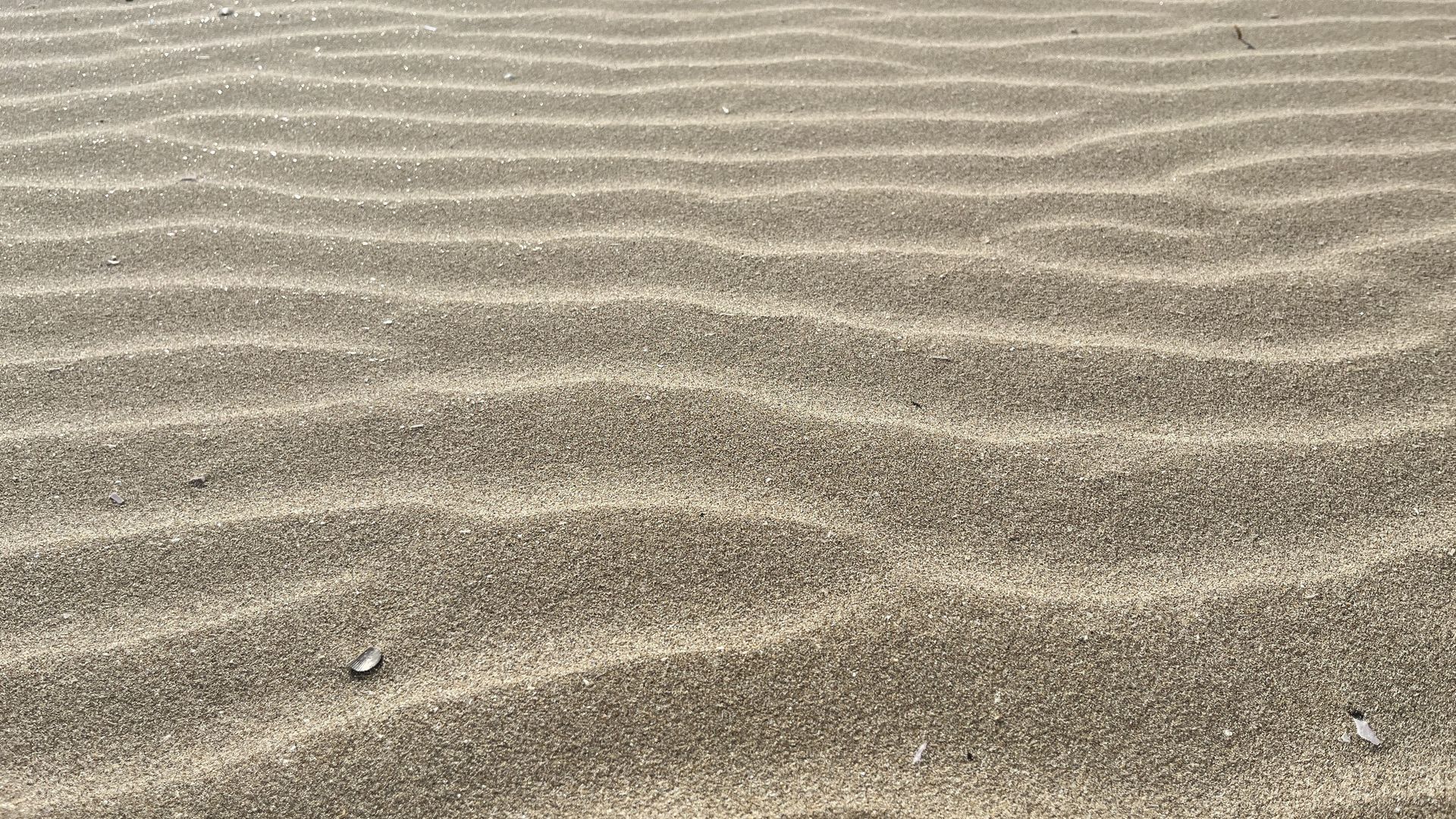 SAND RIPPLES